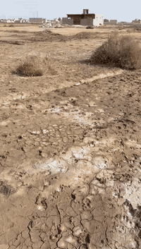 قطعه ارض زراعي 200م للبيع السعداويه طريق ال عواد حي (حي فدك)  مقابل ابو رعد معرض السيراميك جوه من تنزل الشارع سعر مناسب جدا...السعر اتصل ***********
