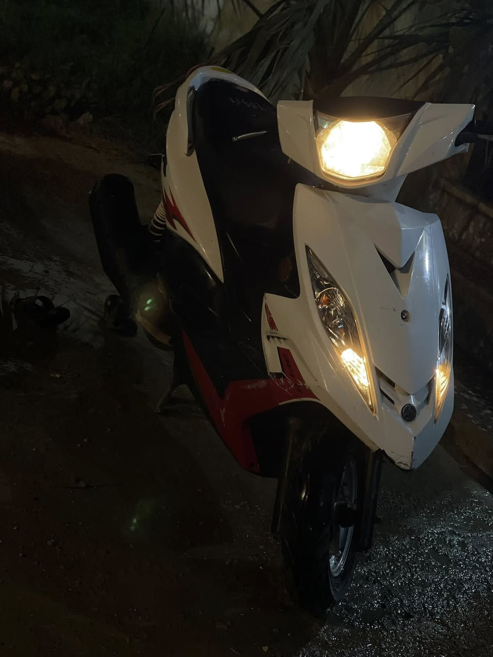 جي تي ار للبيع للبيع رمبه كلشي شغال سكن ضوه عالي ناصي دبل اشاره مكاني لحريه نهايتها 950 جيب وياك فيتر وتعال افحص


**إذا كنت صاحب هذا الإعلان وتريد حذفه لأي سبب، رجاءا أرسل رسالة إلى الدعم الفني**