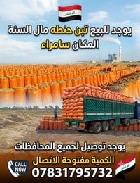 تبن • تبن للبيع • تبن درجة اولى • علف • اعلاف • اعلاف حيوانات • تبن حي...