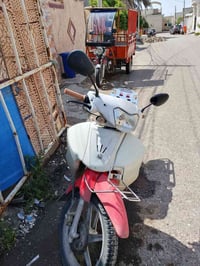 سلفيز • نضيف • صلاح الدين