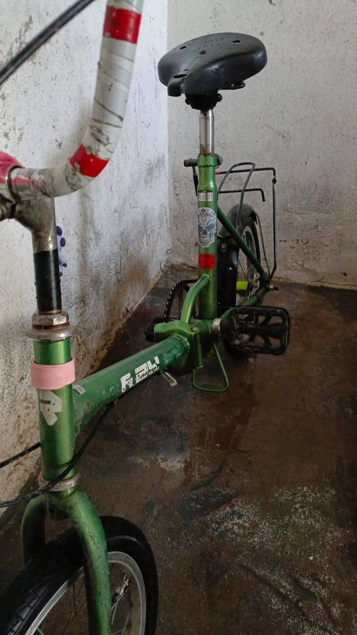 باسكل طباكي كامل السعر 60وبي مجال حجم 16ونضيف شخطات قليله و مرغوب  الباسكل ياباني  واغراضه يابانيه و7مكاين
@إشارة


**إذا كنت صاحب هذا الإعلان وتريد حذفه لأي سبب، رجاءا أرسل رسالة إلى الدعم الفني**