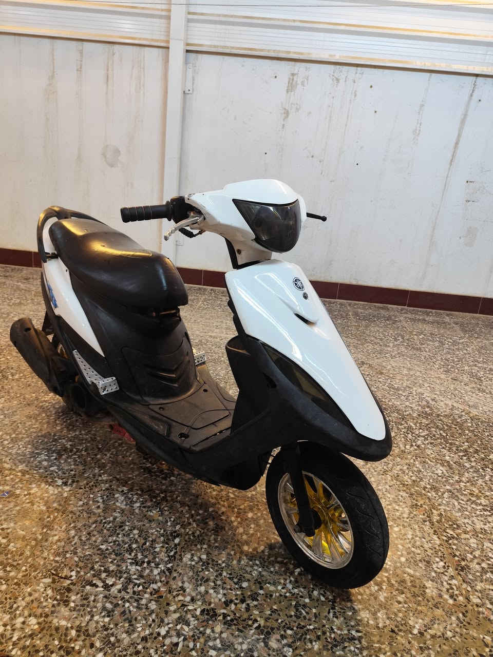 السلام عليكم ماكس عدله للبيع بوشه55  كلجات رياضي وياله رياضي شيال رياضي كهربائيات شغاله سلف هندر محرك صوت ما تسمع اله كفرات بلاد سعر 460و بيها مجال شي قلييل مكان نجف مو شراي لا تراسل


**إذا كنت صاحب هذا الإعلان وتريد حذفه لأي سبب، رجاءا أرسل رسالة إلى الدعم الفني**