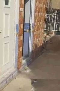 حلة وردية • ٢٥٠م • طابو زراعي