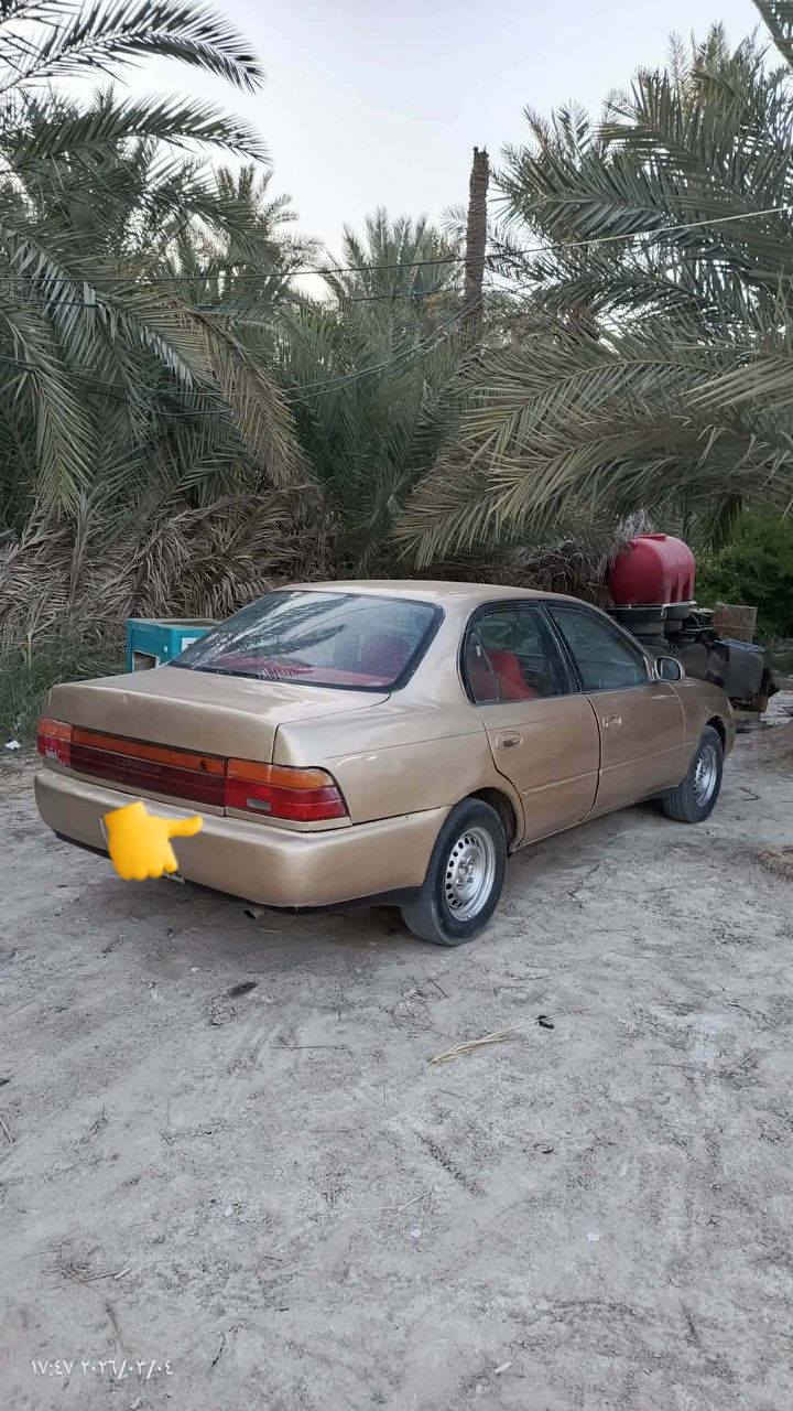 كورلا 92 رقم بغداد مشروع وطني تحويل ثاني يوم عنوان ناصريه سوق الشيوخ السعر 40 لاستفسار ***********
