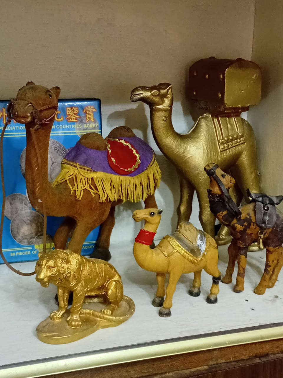 مجموعه عدد٥ جمل مصنوع من الجلد والرزن والالمنيوم٠٧٩٥٢٦٩٧٤٠


**إذا كنت صاحب هذا الإعلان وتريد حذفه لأي سبب، رجاءا أرسل رسالة إلى الدعم الفني**