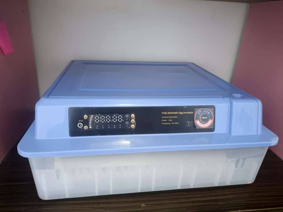 مەقفەزێکی 64هێلکەیی  بۆ فــرۆشـــتن
لۆکە یەک جار بەکار هاتووەو ڕێژەی هەڵهێنانی لە100\90 

باترییەکی لەگەڵایە 

130و کەمێ معامەلە

بۆزانیاری و معامەلە تێڵ بۆ خاوەنی بکەن 

ژ.خ ***********
