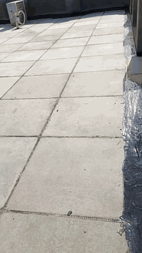 اشتغل سطحك قبل لتجيك الرطوبه زفت ماستك فلانكوت تطبيك اعاده سطوح ماستك وبأسعار مناسبه تنافسيه وضمان انطيك اتصل وتدلل ***********
