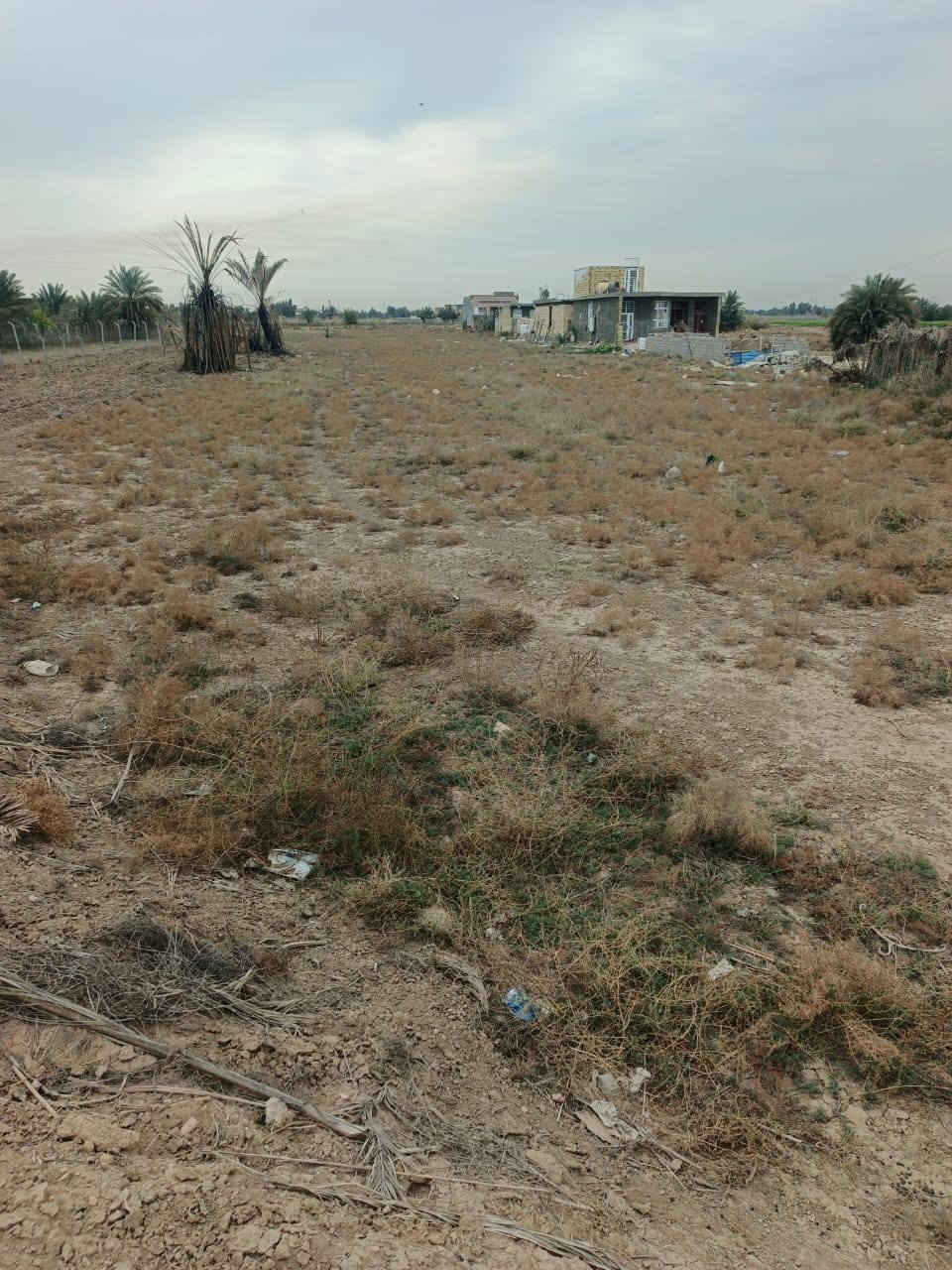 اسلام عليكم قطعه لبيع المساحه 2دونم
طابو زرعي سند 25 بسم شخص واحد
الواجهيه 25  
يتوفر كافه الخدمات  موقع قرب العلويه شريفه ع
تبعد عن المزار 5 دقايق    كلش حلوه
تصلح سكن مزرعه شتريده اصير  
اي استفسار اكثر اتصال ع الرقام  
***********
