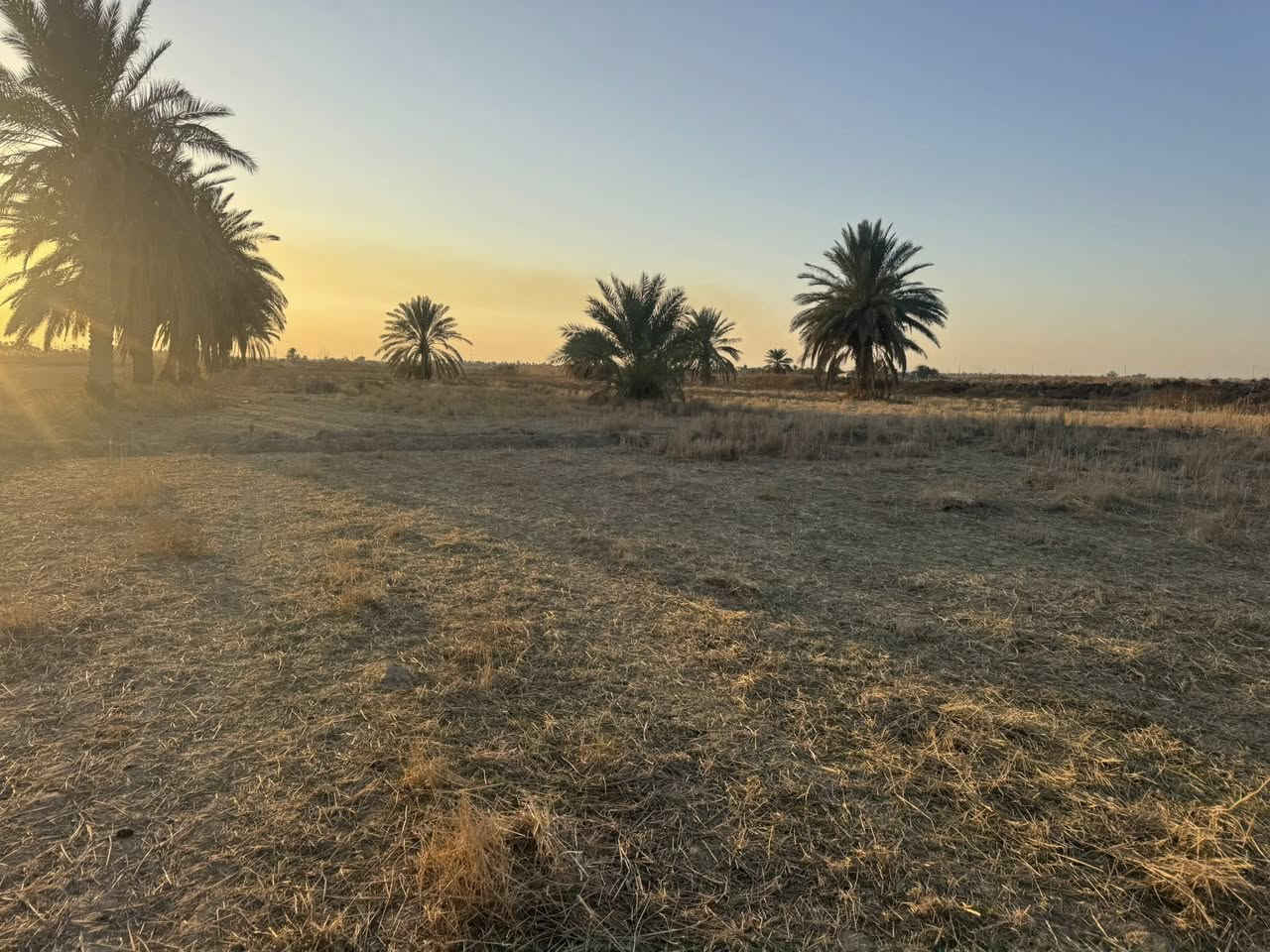 سلام عليكم ارض طابو للبيع المساحه 30 دونم سند مستقل بأسم شخص واحد الارض مكانه حلوه يوجد فيه كهرباء+ماء وكافّة الخدمات تصلح مجمع سكني او شاليات العنوان طريق كربله نجف طريق مفرك الكفل عمود 350 
استفسار.   ‭***********
