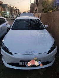 سيل 5 • ٢٠٢٥ • كفاله عامه