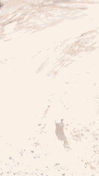 سلام عليكم ونج تصعيد كافت البناء طابوك بلوك شتايكر فرمستون بولسلين ***********فراس
