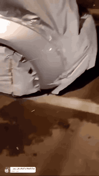 يالله سلام عليكم على جميع من رخصت الادمن صباغه كافه أنواع السيارات بسعار مناسبه تكحيل بوليش صبغ وياله 
هـ ***********
