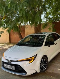 كورلا ٢٠٢٥ • مشي ١٢٠٠٠ • كركوك