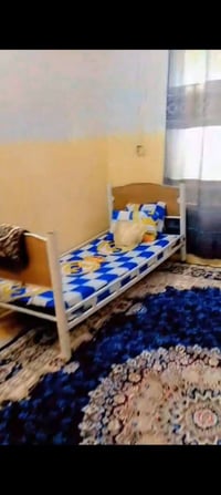 قريولات • عدد ٢ • بدون دواشك