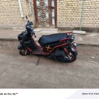 سكنس جبلي • البصرة