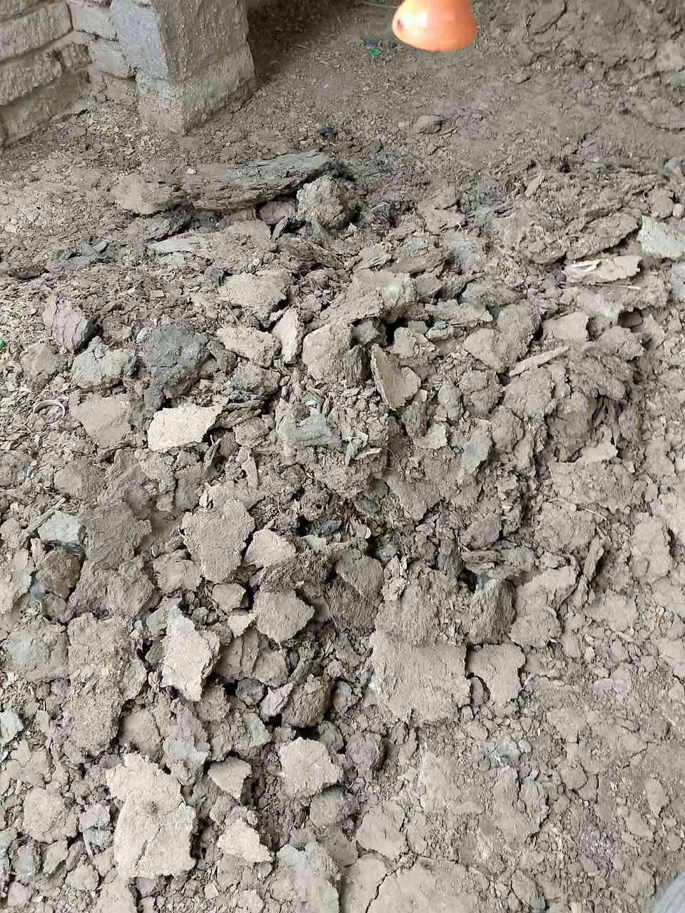السلام عليكم يوجد دمن مال دواجن كميه محدوده المكان دبله الاستفسار الاتصال على الرقم ***********ملاحضه مكلف بنشر أتصل على صاحبهن
