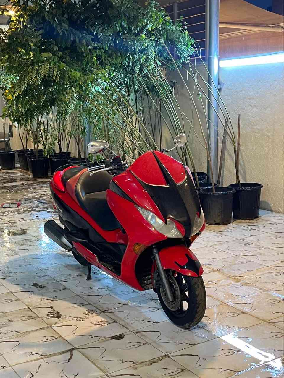 ‎سلام عليكم فورزه 010 البيع او مراوس حسب القناعه عنوان بغداد ***********‎ بغداد, العراق
