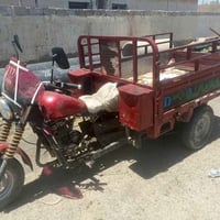 ستوته • دايوان • بلا أوراق