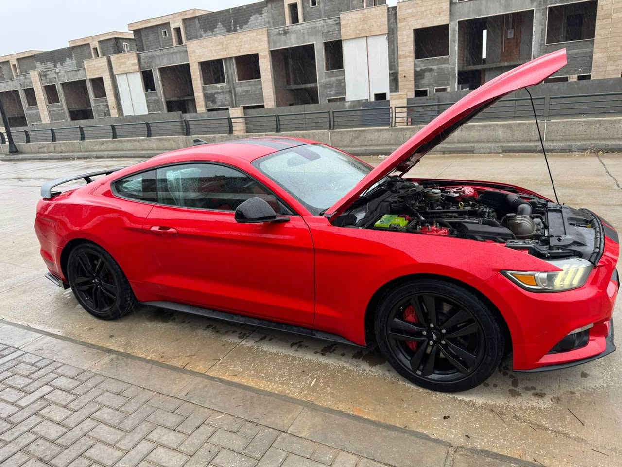 فۆرد مۆستانگ بۆ فرۆشتن 2015 ecoboost
سەنەوی تازە تا ۲٠۳٠
گێر و مەکینە بە شەرت
فولل جوانکاری یەکێک لە جوانترین مۆستانگەکانی کوردستان
سفری شەریکەی نیڤایە 
ماشەڵای ئەوێ لە جوانی
بێ بۆیاخ
110مایل ڕۆشتووە
کوشن کارەبا ۳مۆدی سوکان 
باتل شەفت
دەرگا لەمس هتد
نرخی ۱۳۳ گەلا مەجالێکی زۆر کەم
*********** السليمانية, العراق
