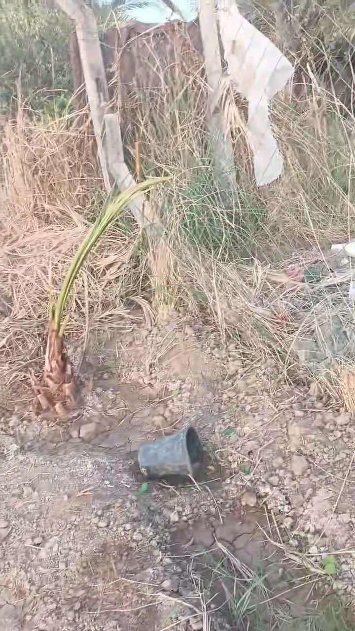 مساحه 500متر بابل ابي غرق الاتصال على الرقم***********
