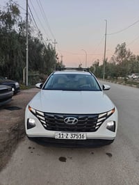 توسان امريكي • ٢٠٢٤ • بدون صبغ