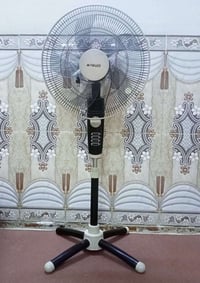 شغالين • ايسر سايدين • قرب مجسر المعارض