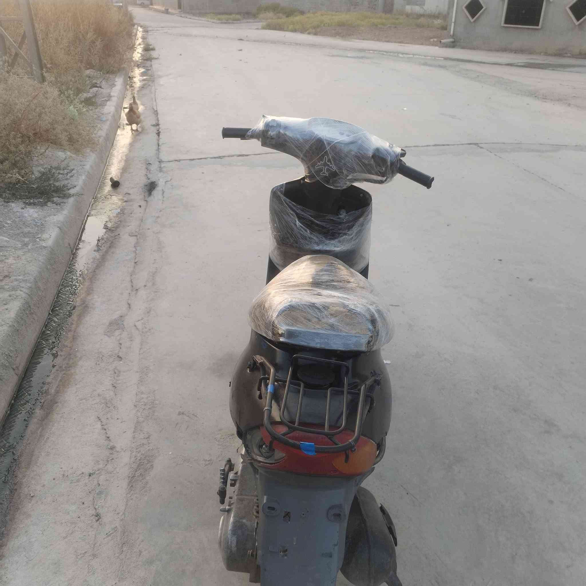سلام عليكم شباب ماطور نحله تسعه زروف للبيع مكينه البارحه عمرته فول تحريكه معدل شاصي شرط الماطور فول السعر200بي مجال بسيط الخاص مفتوح


**إذا كنت صاحب هذا الإعلان وتريد حذفه لأي سبب، رجاءا أرسل رسالة إلى الدعم الفني**