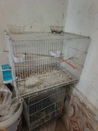 قفصين حديد جدد شرط النضافه السعر اثنينهن ٢٠ شراي تعال واتساب 078181709...