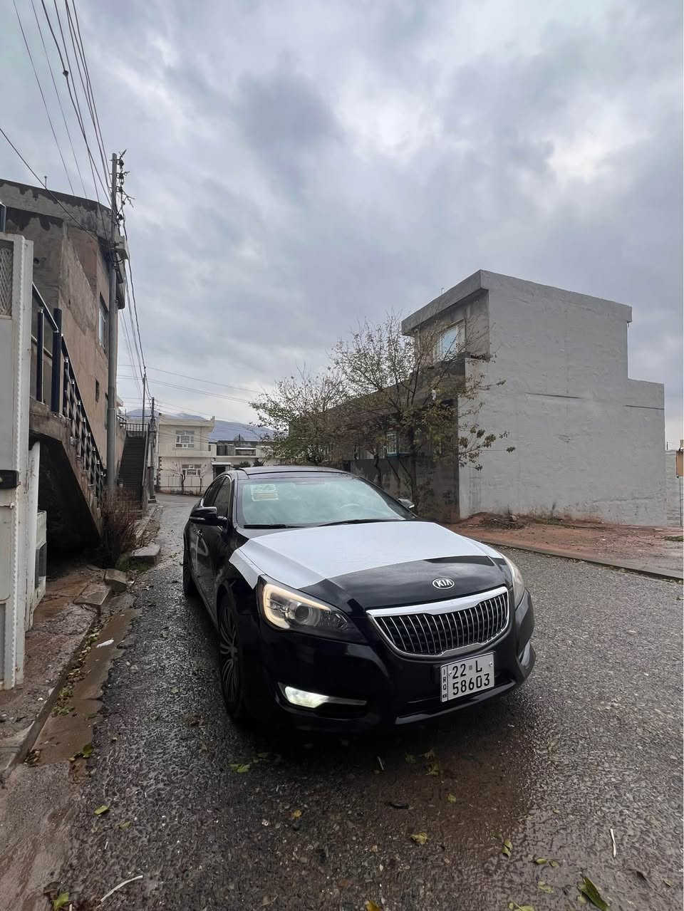 کیا کادێنزا 
مۆدێل 2012 فول فول مواسەفات خەلیجی     پانۆراما بەسمە کوشن خەزن کوشن هیتەر   سوکان خەزن ئاوێنە شەفت کامێرا   حەساس    تەبرید مەرکەزی ناو سپی  مەلەکی  پشتەوەی vip پەردە کارەبای  هەموو شتێکی نوێیە سەنوی رەقەم تا 2030 بەناوی خۆمە 
 ویل گەورە       لایت لید 
چوار پارچەی بۆیاخە    پشتو پێشی کەپسە        ٤ تایەی لۆکی لەژێرە هەمو شتئکی بەشەرت  
ژمارە موبایل *********** أربيل, العراق
