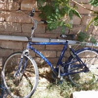 دراجة • للبيع