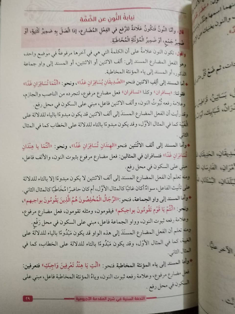 التُّحفة السَّنِيَّة
تأليف / محمد محيي الدين عبدالحميد
كتاب ملون ومشجر
٣٥٠٠ دينار
المكان/ الموصل


**إذا كنت صاحب هذا الإعلان وتريد حذفه لأي سبب، رجاءا أرسل رسالة إلى الدعم الفني**