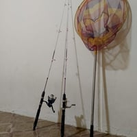 سبنرات • طول ١٥٠ • حبانيه سيسي