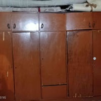 كنتور • مصبوغ • الشعب
