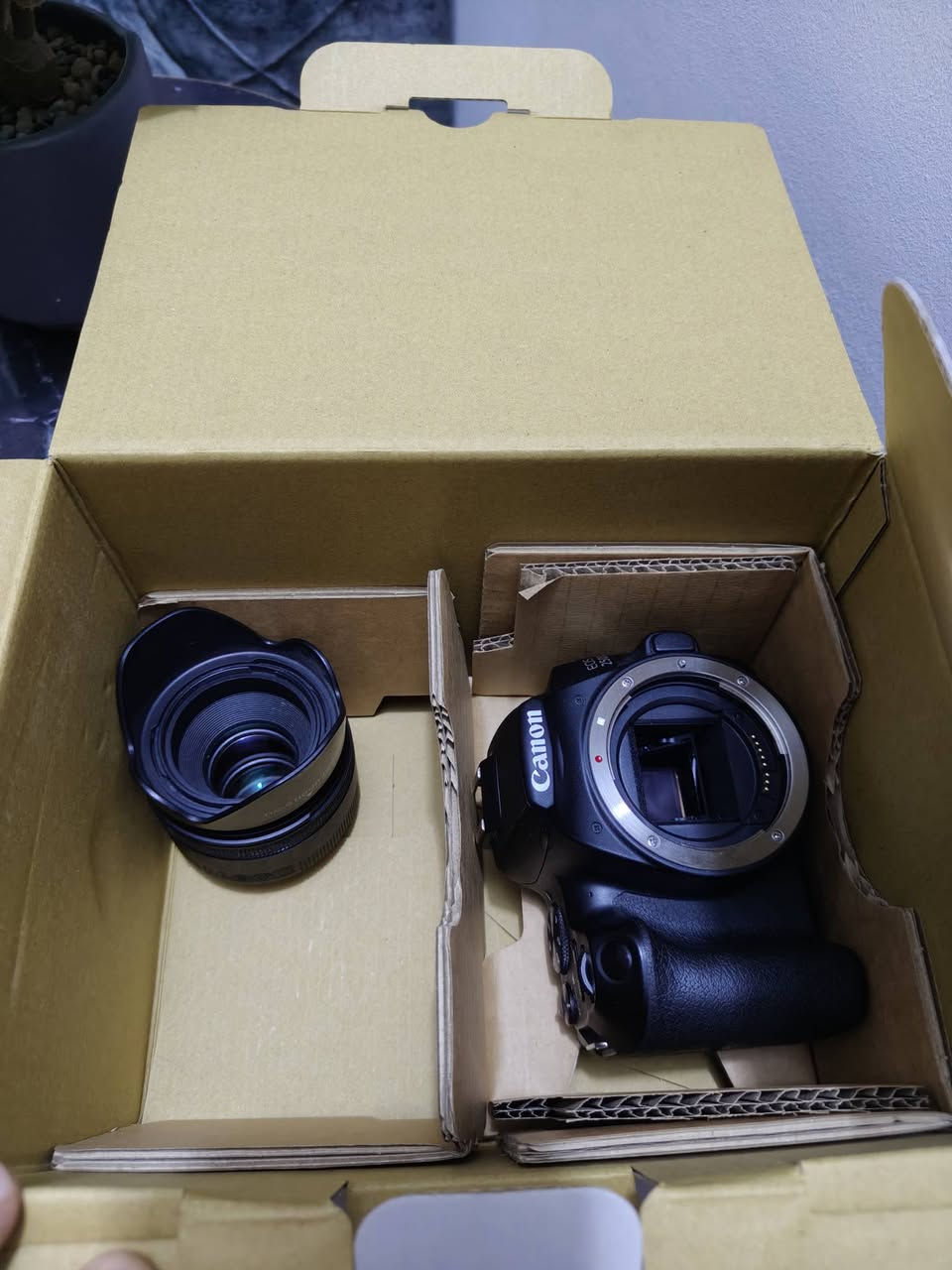 كانون 250D
السلام عليكم 
كانون 250dنضافه 95%شرط الفحص +عدسة 50mm-1.8
جنطة +بطاريات 4وقاعدة شحن مزدوجه+شاحنة الشركة الاصليه+مانع اهتزاز Weebill s استخدام 5مرات فقط  كارتون موجود 

بغداد حي القاهره
السعر خاص او واتس اب 
 رقم ***********
