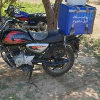 بوكسر • 20 • مرقم