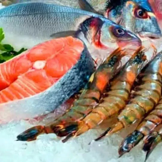 🐟 أجود أنواع الأسماك والمأكولات البحرية الطازجة يوميًا! 🦐
طعم البحر الحقيقي بين إيدك 😋
 سمك طازج ومتنوع
جودة عالية وسعر يناسب الجميع

#مجمع اسماك جويلي 

للطلب والاستفسار يرجى التواصل معنا على الارقام التالية      ***********📞 *********** 📞***********📞

نوصل طلبكم لباب المنزل
📍عنوان مطعمنا ـ بغداد ـ السيدية ـ الضباط بعد جامع الأقصى 

🧊 الطزاجة سرّنا... والتميز عنوانّا! 🌿
