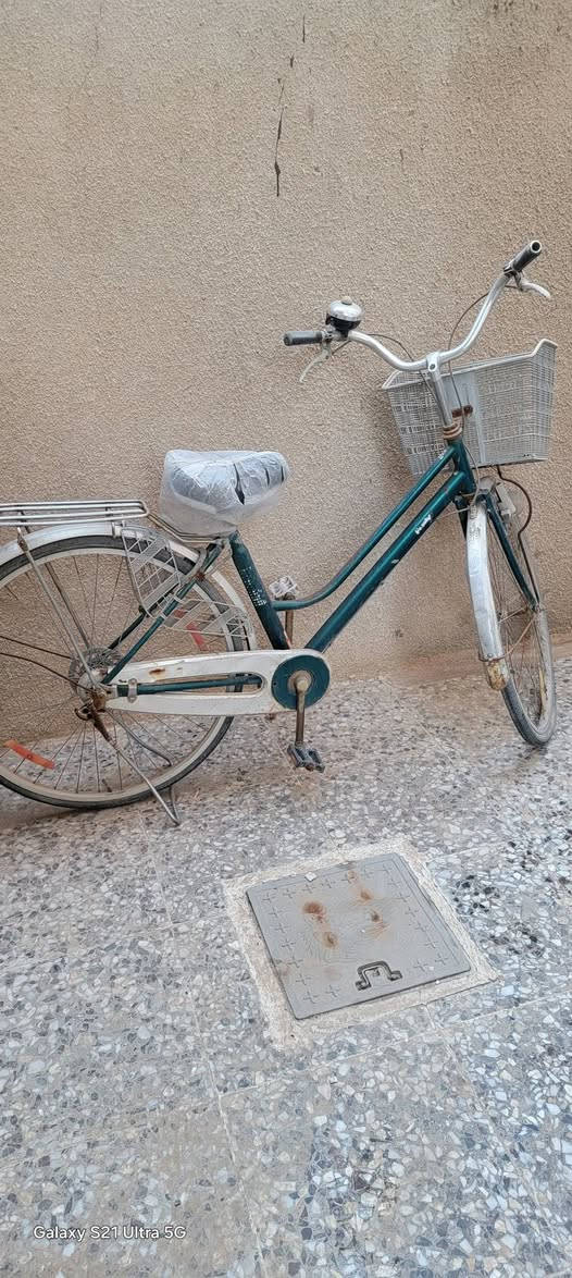 السلام عليكم
عندي مجمدة شغالة فقط التجميد من الاعلى وطباخ شبه جديد و بايسكل حجم ٢٨ نظيف كما موظح بالصور

***********

الاتصال واتساب فقط
الطباخ ١٠٠ والمجمدة ٥٠ و الباسكل ٥٠
