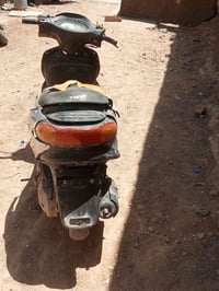 دولفين • سلف • شغالة