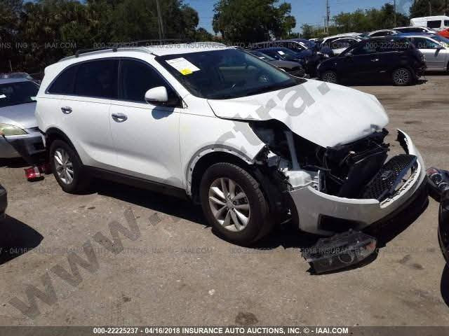 سورنتو موديل 2016 امريكي ضربتها حلوه بدون دواخل وصور الضربه موجوده بالمنشور والسونار عندي البنيد نفسه مرجعينه وباب الجنطه تخريب مو ضربه ومبدل   4سلندر 7راكب قطعتين تبريد تحكم سترين جهتين واشاير بالمري وتدفئة كشنات ومانع انزلاق وكشن السايق كهرباء
السياره رقم انكليزي الجديد بأسمي وسنويتها لل2029 السعر165وبيها مجال

مكان السياره بالناصريه قضاء الشطره 

***********
