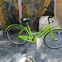 ياباني • ٢٦ • تفاحي