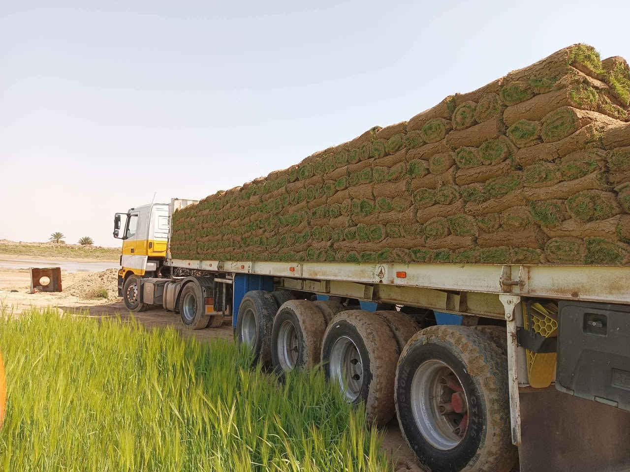 #الخبرة  في زراعة الثيل الطبيعي
زبائننا الكرام 
متوفر كافة انواع الثيل الطبيعي 
الثيل الامريكي🌿الثيل الهندي🌿الثيل الايطالي 🌿الثيل الفرنسي
مع كادر مختص يجيك لباب بيتك
بسعر مناسب وكفاءة عالية
نجهز كل انواع الحدائق
والملاعب والمتنزهات 
والمشاتل ودوائر الدولة
الاسعار تختلف بختلاف النوع

للطلب او الاستفسار التواصل مع الصفحة او الاتصال على الرقم 

***********
***********
