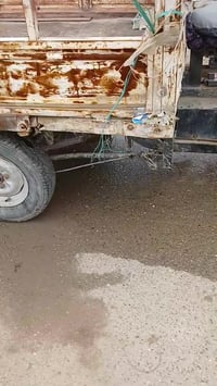 شغالة • قابل تفاوض