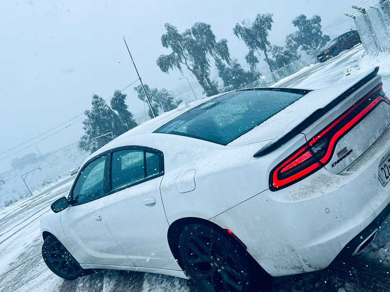 جارجر النداء الاخير  

موديل 2023

Sxt  بلاك توب بلاك ادشن 

 شاشة جبيرة 

حساسات 

نظام سستم صوت الباين 

اني مستوردها  بشهر العاشر دخلت 

حادث بسيط مكفوله من التبديل والفتح . 

تصليح درجة اولى 

لايت اصلي ودعامية اصليه وجميع الملحقات  اصليه  

صبغ شبر بلجاملغ بدون معجون كارت وشبر خشم البونيد. مبين بصور الحادث 
رقم اربيل بسمي
عنوان موصل


**إذا كنت صاحب هذا الإعلان وتريد حذفه لأي سبب، رجاءا أرسل رسالة إلى الدعم الفني**