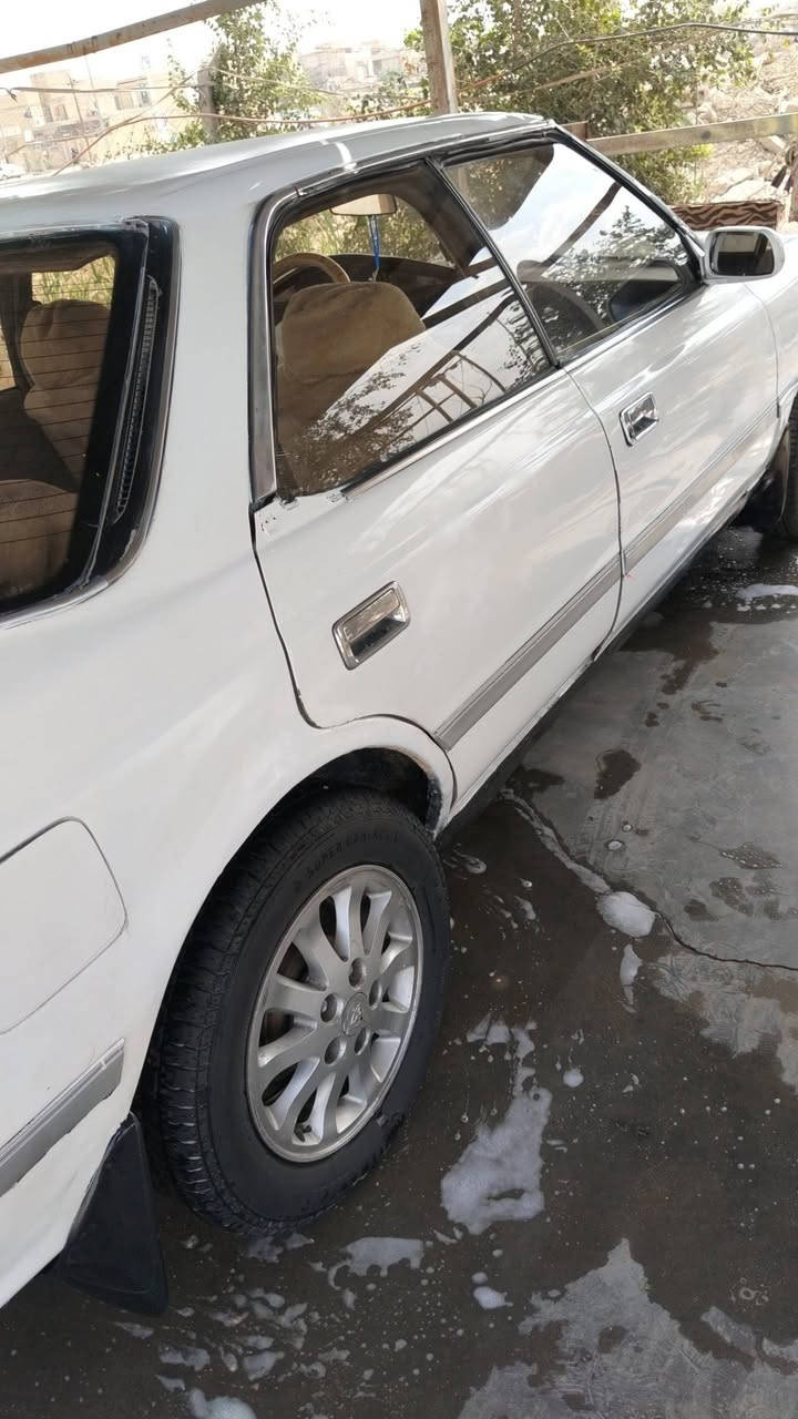 افالسلام عليكم مارك موديل 92 مكفوله من الكص ونقل جثه وتحويل مابيه لا ضربه قويه ولا خفيفه مكينه  وكير ونجي  جدد حداديه كله جديده رقم واسط مشروع وطني ألماني السعركلش من الأخير 32 غير سعر متصير يعجبك سعره وتفاصيل خابرني وتدلل تريد تعامل لتخابرني مكاني ذي قار قظا الشطره ***********
