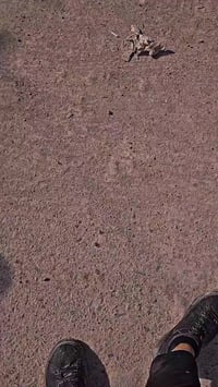 درجة ماكس بوليس للبيع بغداد مدينة الصدر للستفسار  07772180213 الدرجه ن...