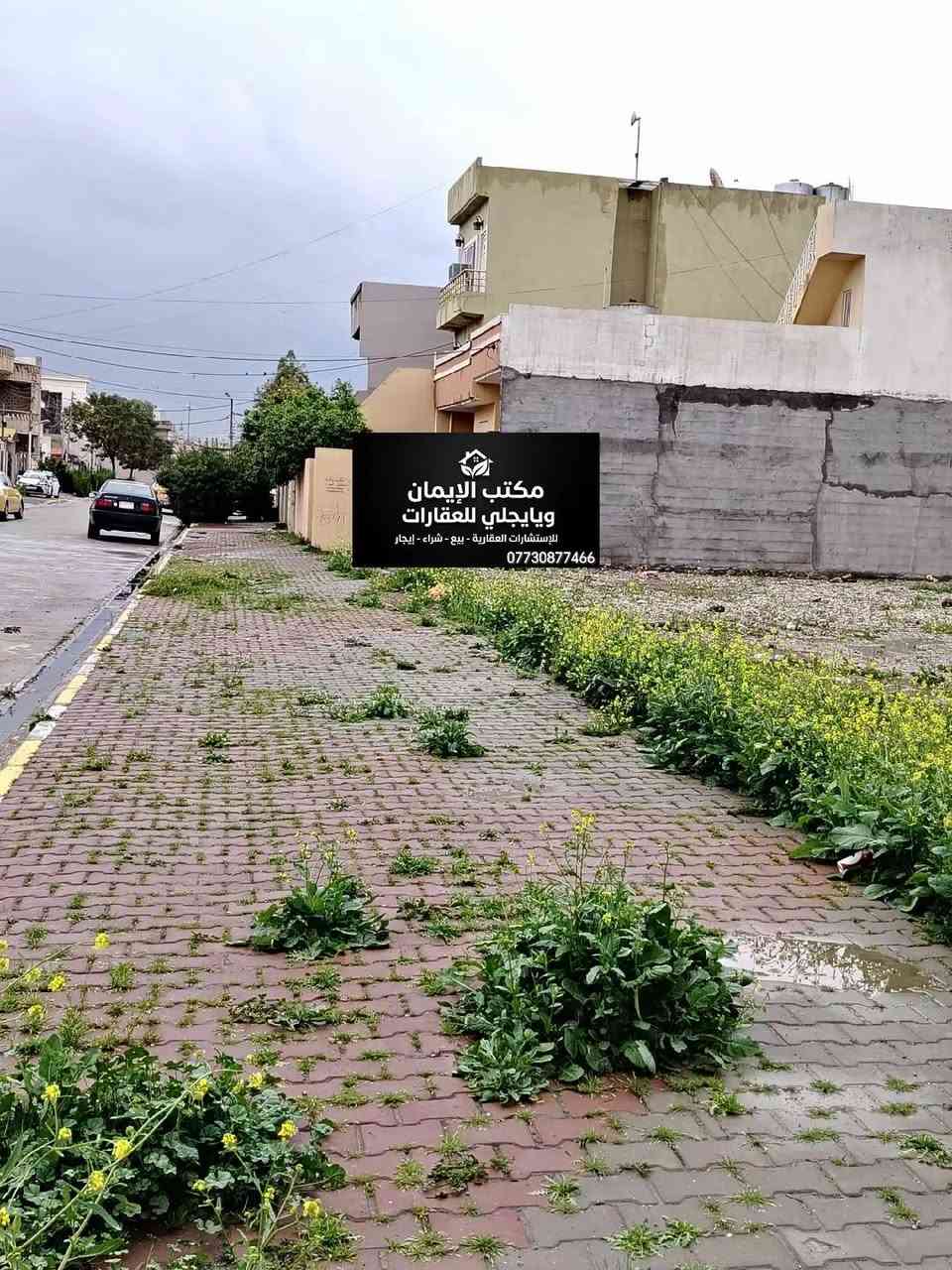 قطعه أرض للبيع طابو موقع مميز تجاريه ركن 200متر واجهه 20متر بسم شخص واحد عنوان كركوك حي العسكري قرب جامع او مجاور مكتب الايمان ويايجلي الكائن كركوك حي العسكري قرب جامع المعراج للاستفسار اكثر حول العقار يمكنكم مراسلة الصفحة او الاتصال على الرقم
*********** مهندس علي
*********** ابو مصطفى يايجلي
*********** استاد محمود
