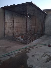 قفص حديد • قفص طيور