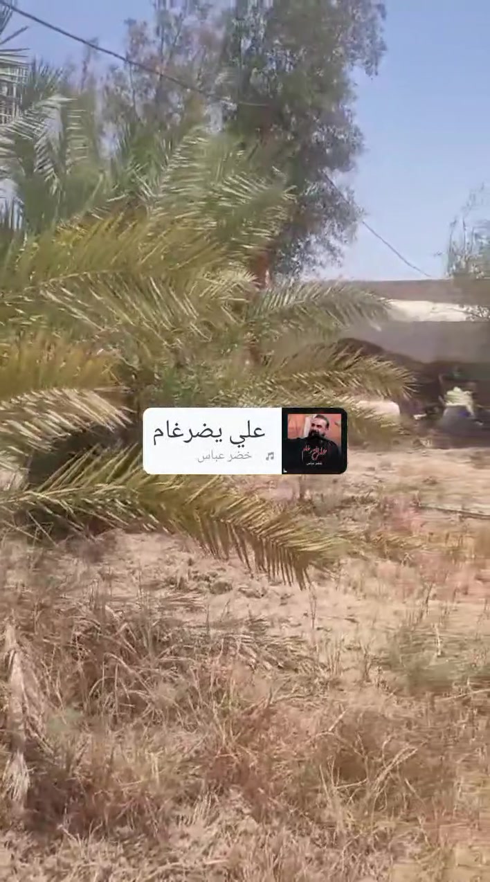 أرض زراعي طابو صرف مقابل الحقول عزيز الله مساحته 300م معروضه للبيع ب 15مليون وبيه مجال
للتواصل الاتصال***********
