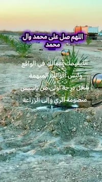 هذا العمل الذي تشاهدونة أمامكم  تم إنجازه من قبل مشتلنا مشتل اخوكم ((س...