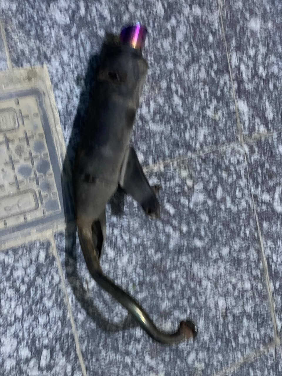 كزوز ماكس رياضي سعر 20 مكاني معقل


**إذا كنت صاحب هذا الإعلان وتريد حذفه لأي سبب، رجاءا أرسل رسالة إلى الدعم الفني**